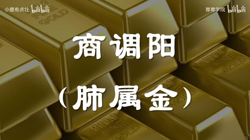 7-商调阳（肺属金）