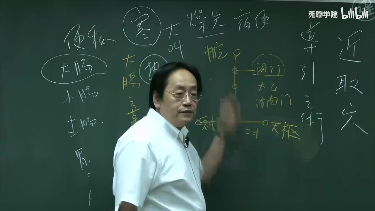 20-倪海厦《针灸大成》第十九集（胃经-天枢至足三里）