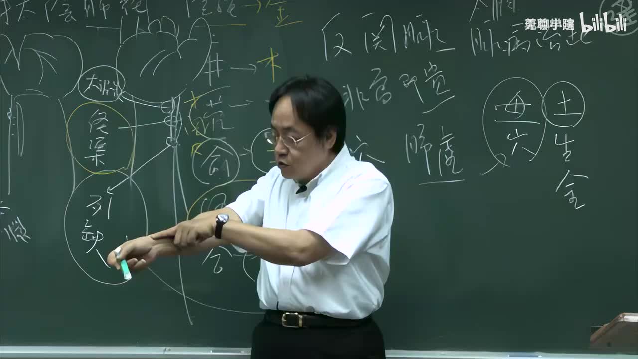 15-倪海厦《针灸大成》第十四集（肺经-鱼际至少商-大肠经-商阳至合谷）