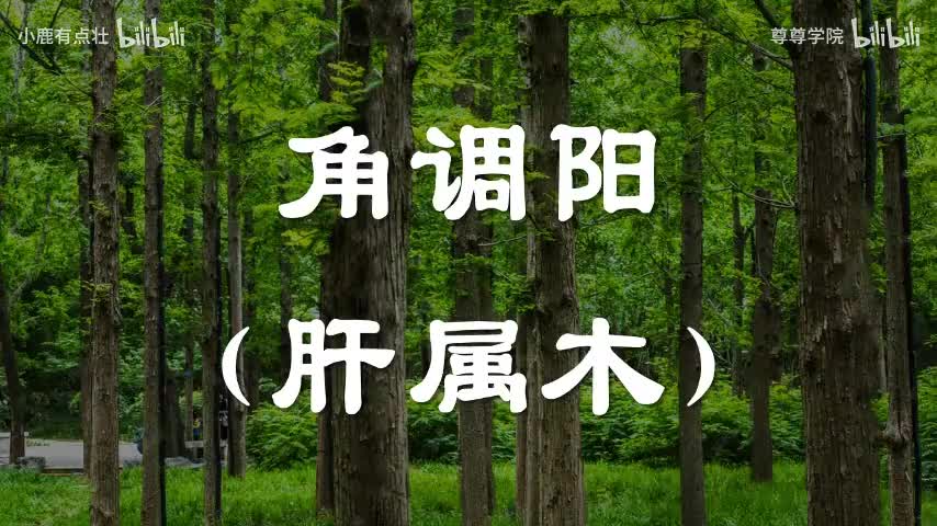 1-角调阳（肝属木）