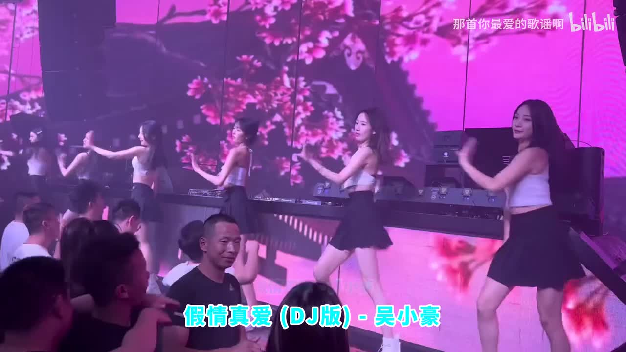 076. 假情真爱 (DJ版) - 吴小豪