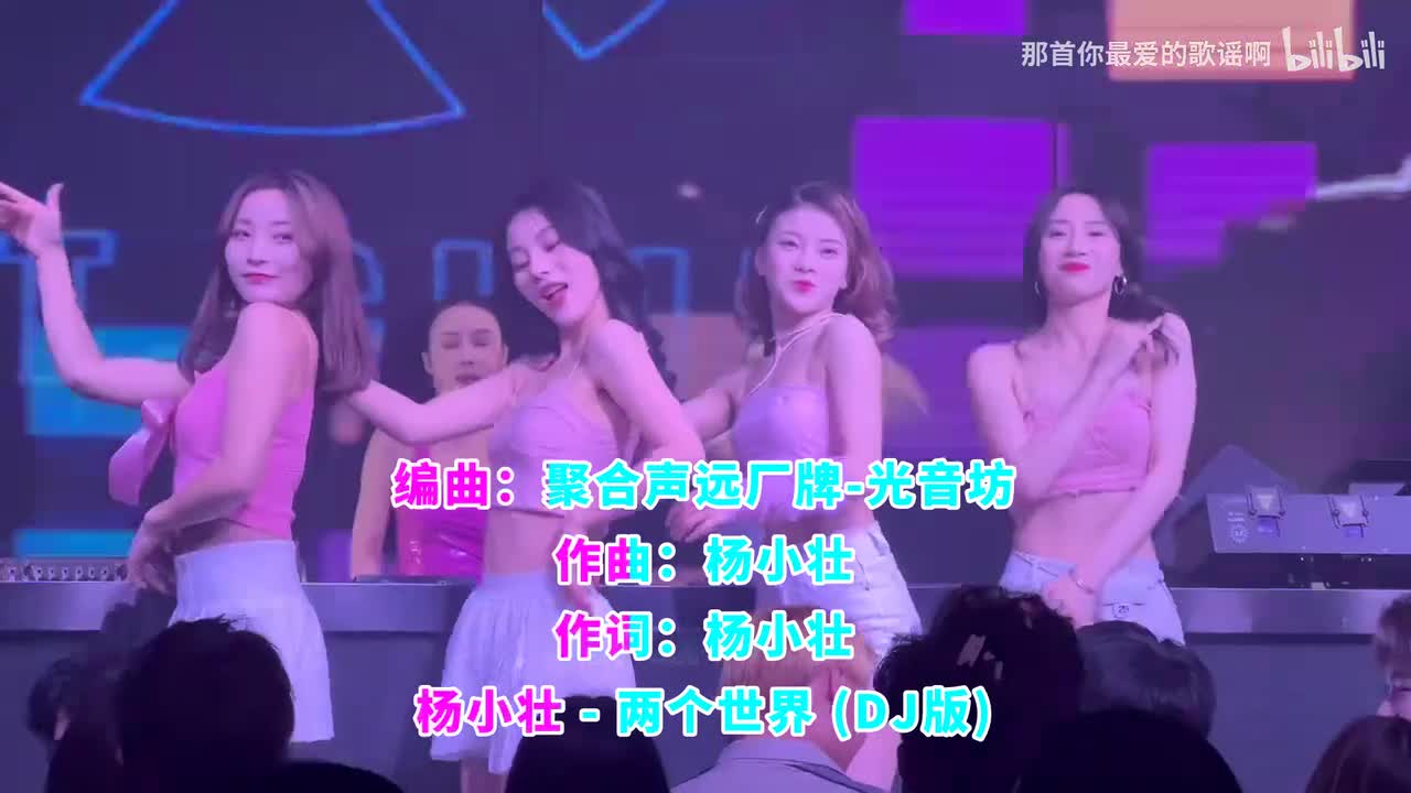 026. 两个世界 (DJ版) - 杨小壮