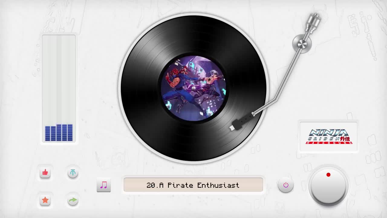 20.A Pirate Enthusiast