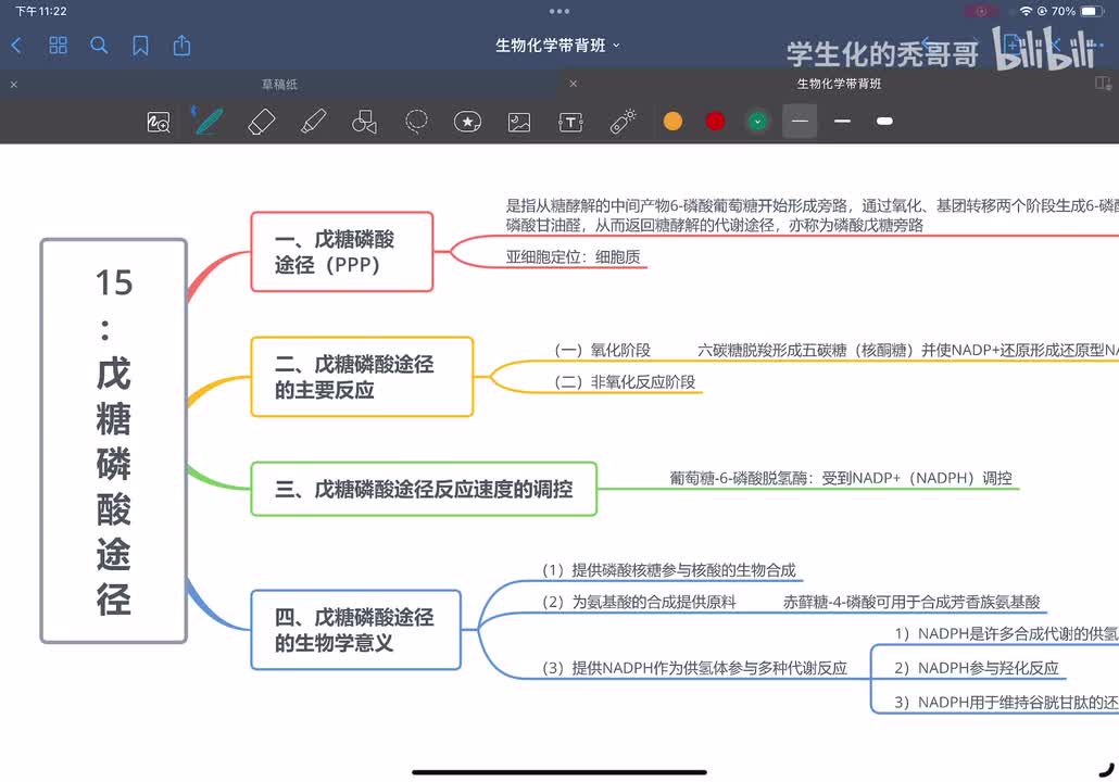 15：戊糖磷酸途径