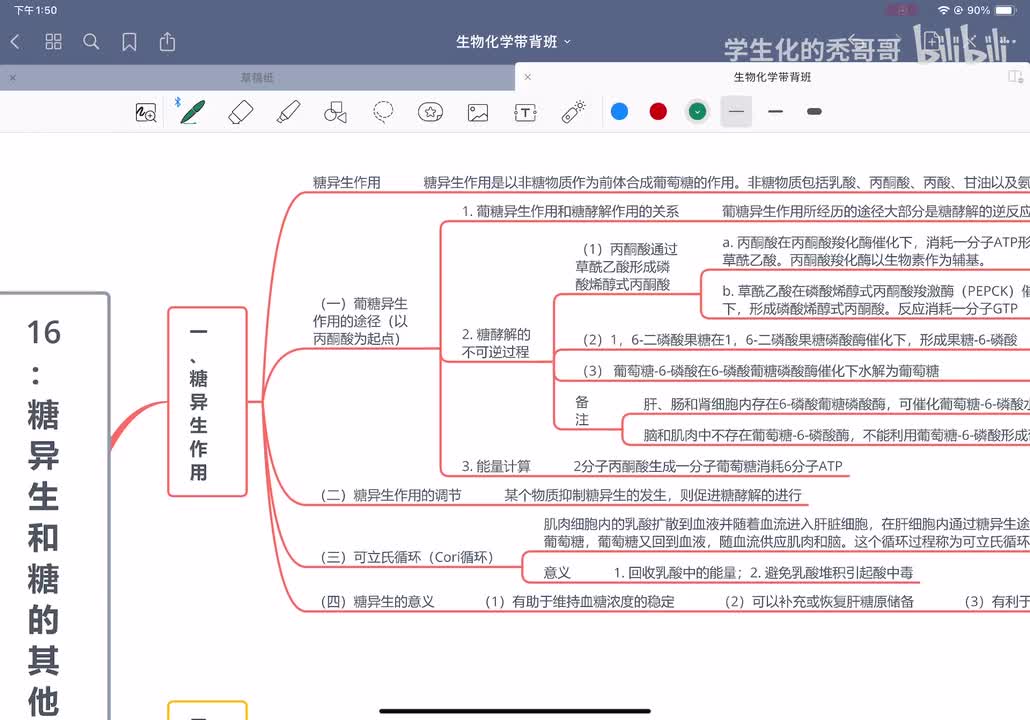 16：糖异生和糖的其他代谢途径
