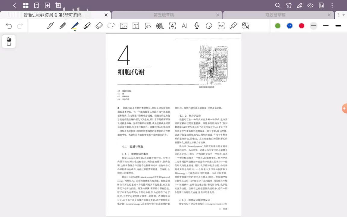 22.第4章 细胞代谢(1)