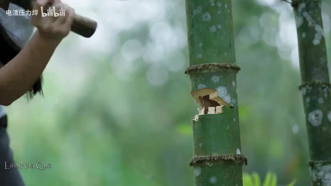 10天内建造水上漂浮竹屋——越南李子柒