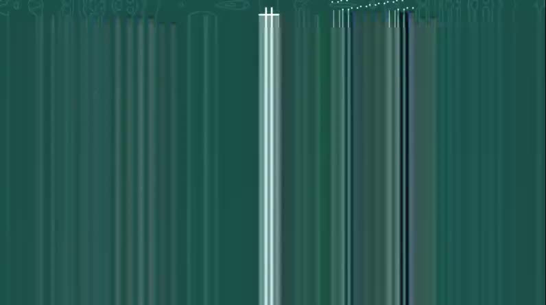 L07-067 《木兰诗》之手法探究：互文、顶针和对偶-序言