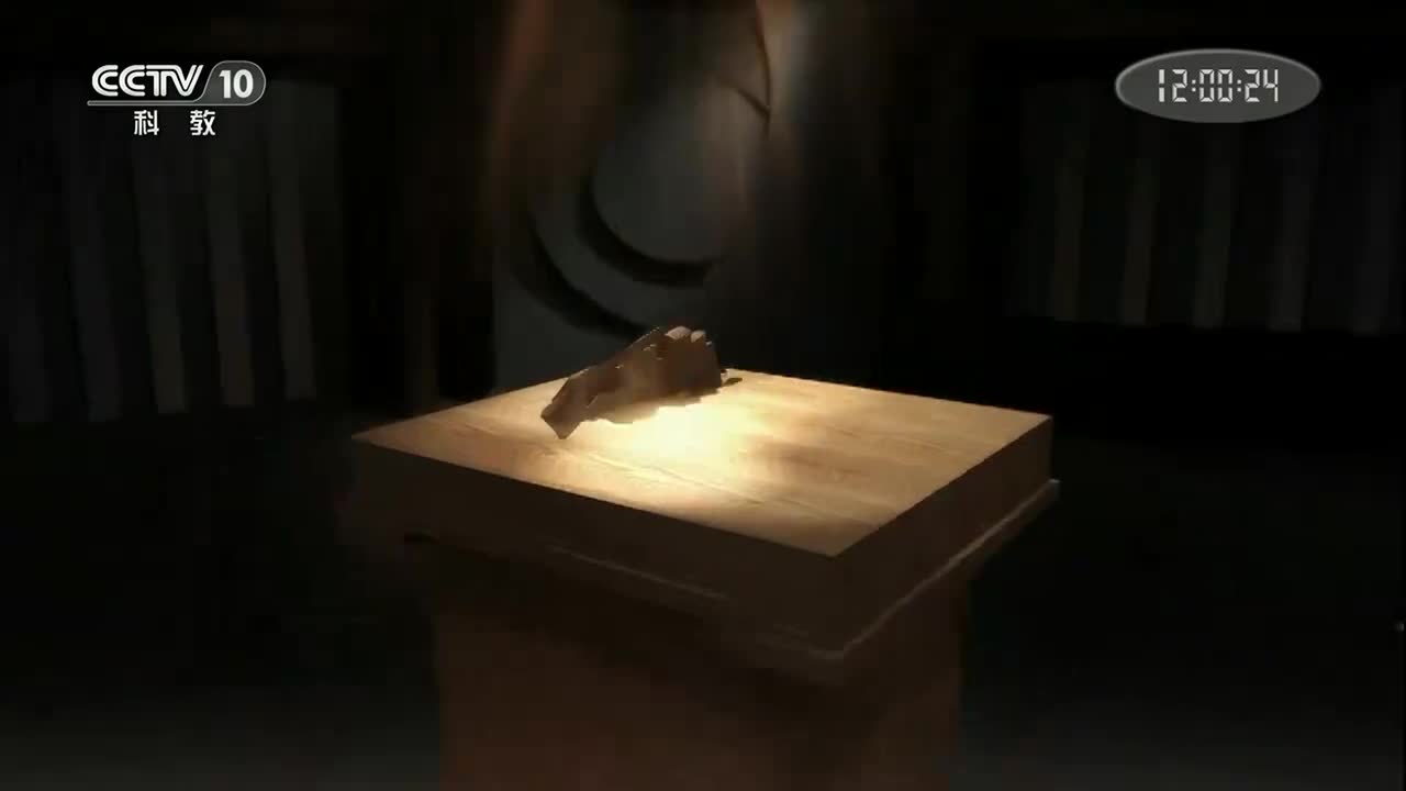 游春时节风乍起