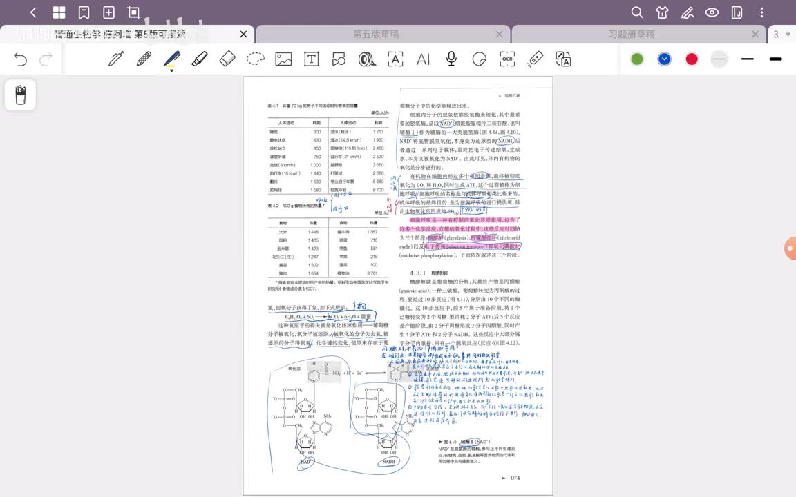 24.第4章 细胞代谢(3)