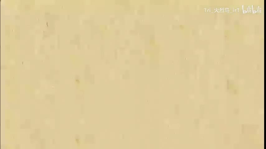 10. 特殊直角三角形