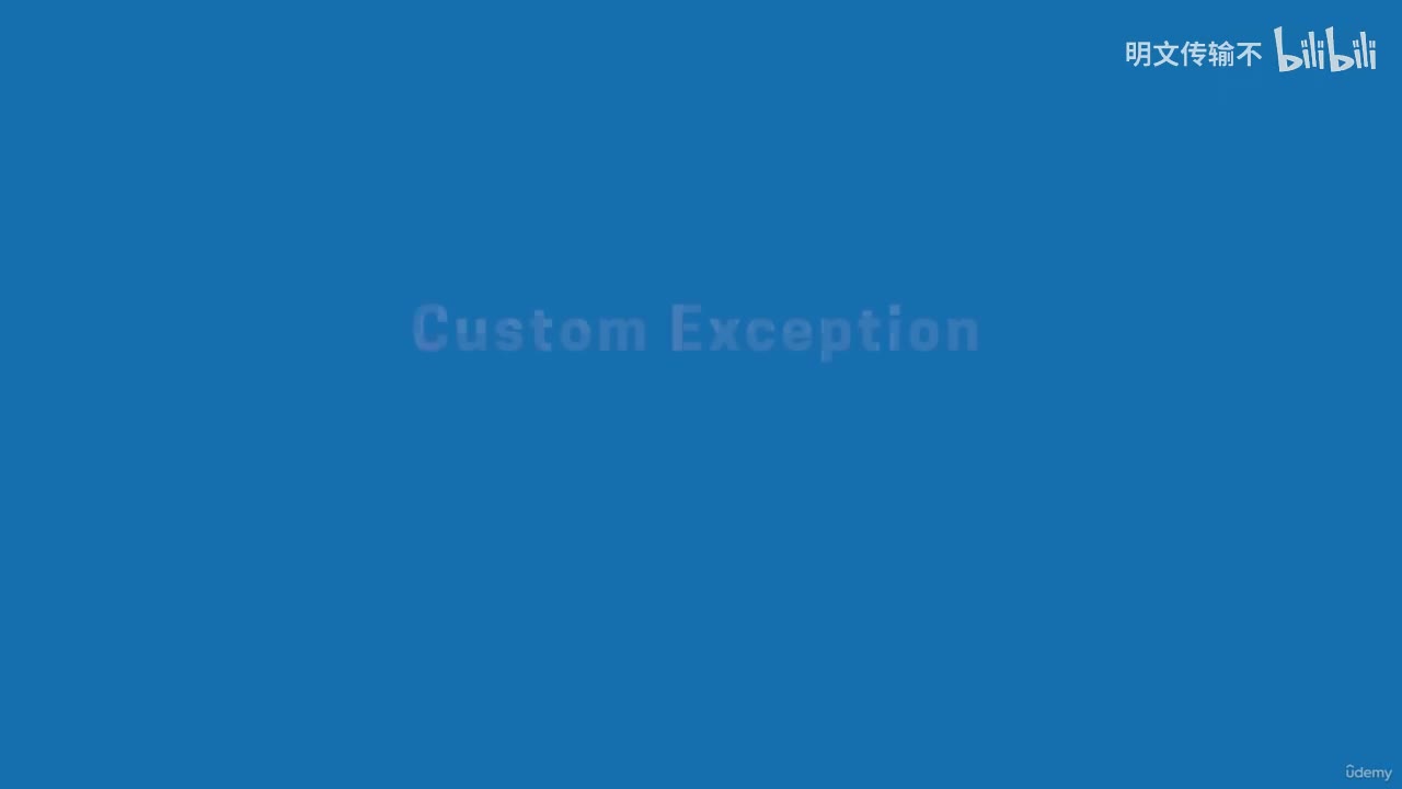 28-10. 自定义异常