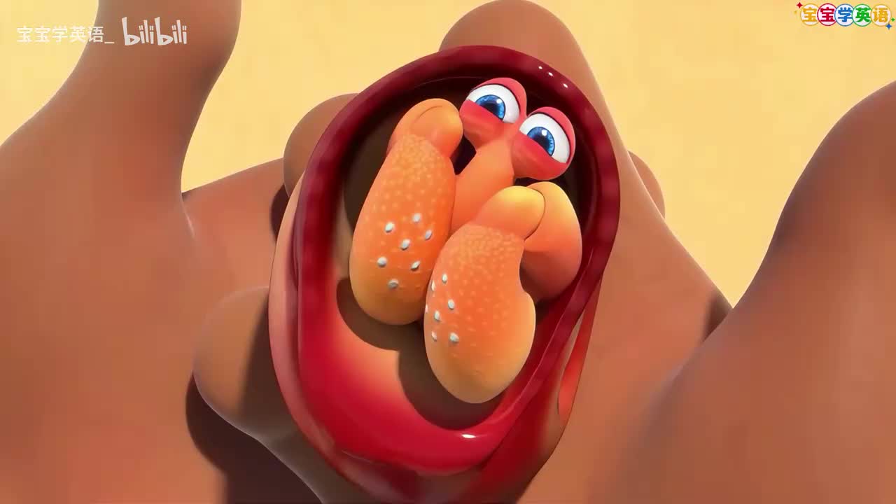 39.动画 贝壳游戏