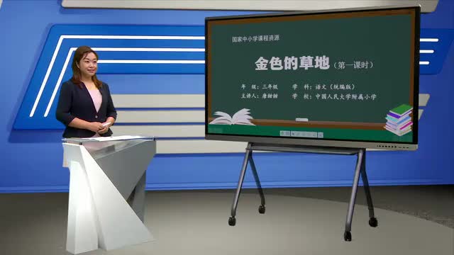 16《金色的草地》第1课时