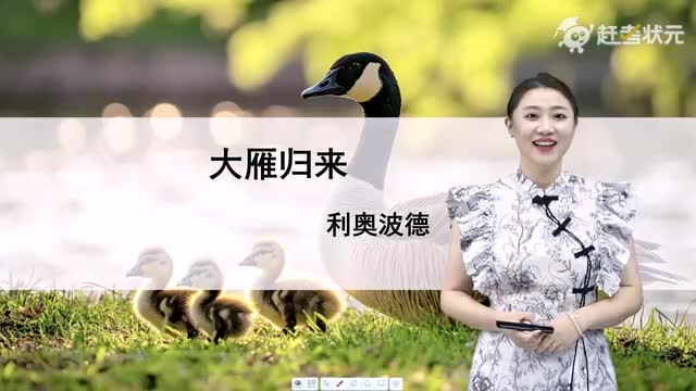 新人教版七年级语文上册-第5单元-06-大雁归来（第二课时）