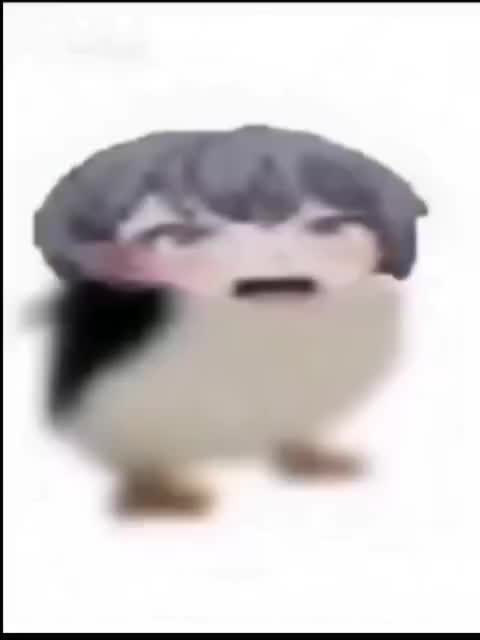 studio_video_1754470875699