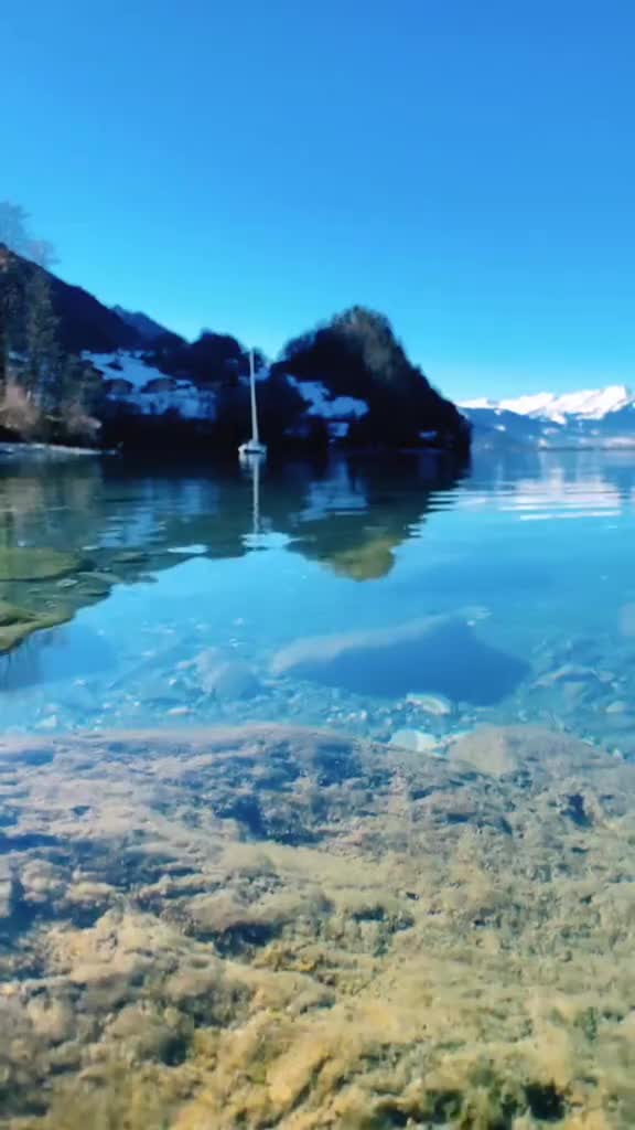 2025年中级经济师|中经经济基础知识|经济师课程精讲班|讲义视频武小唐1