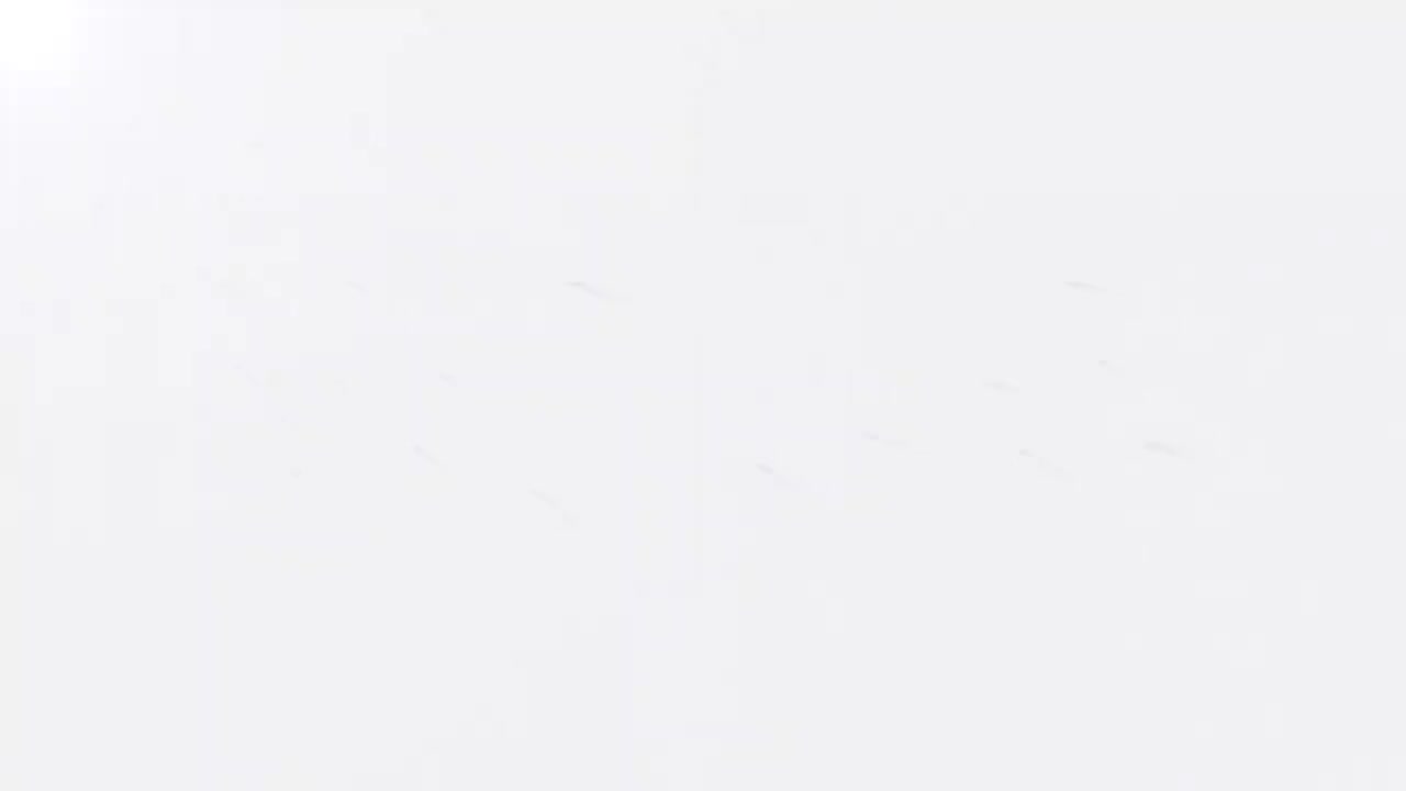 84-第二十一章-第四节-金融监管体制