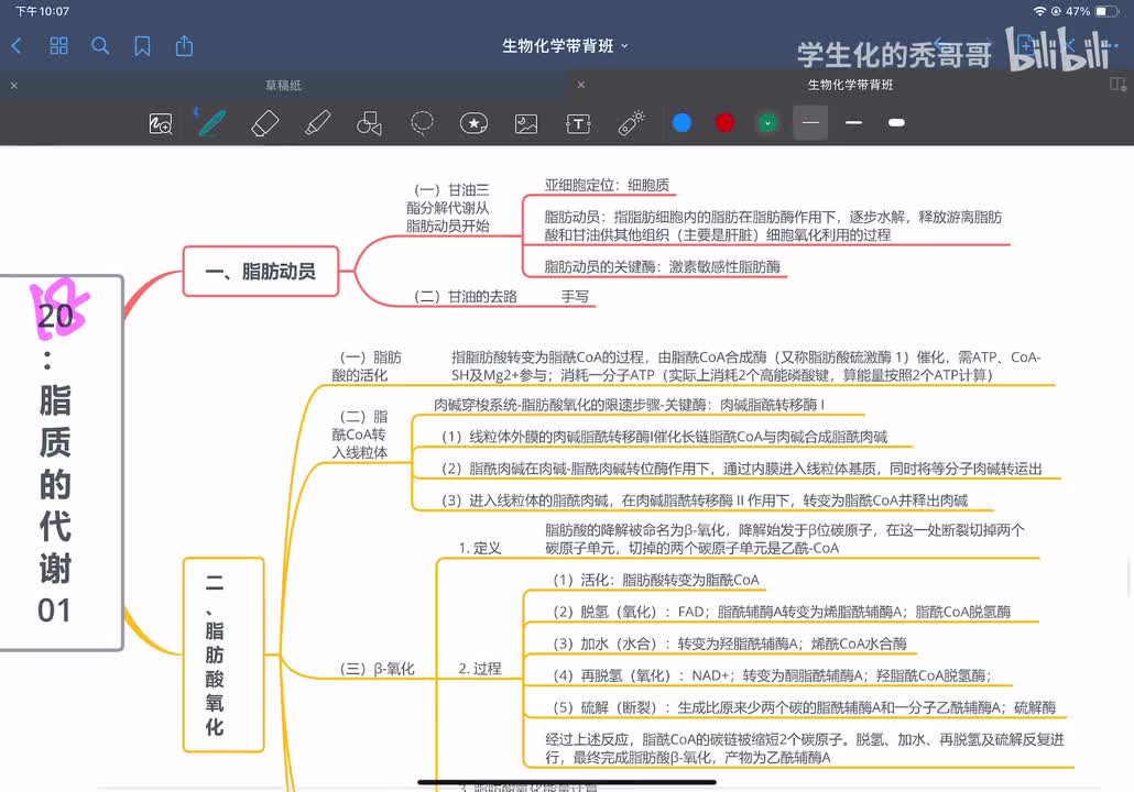 18：脂质的代谢01