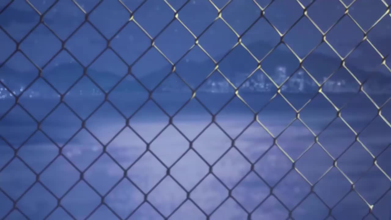 【226】一花（泳装）