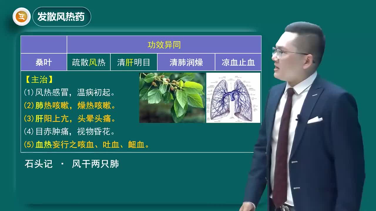 第一章06讲发散风热药03