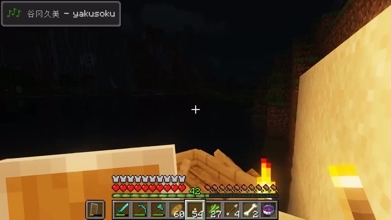 我抓到宝可梦啦