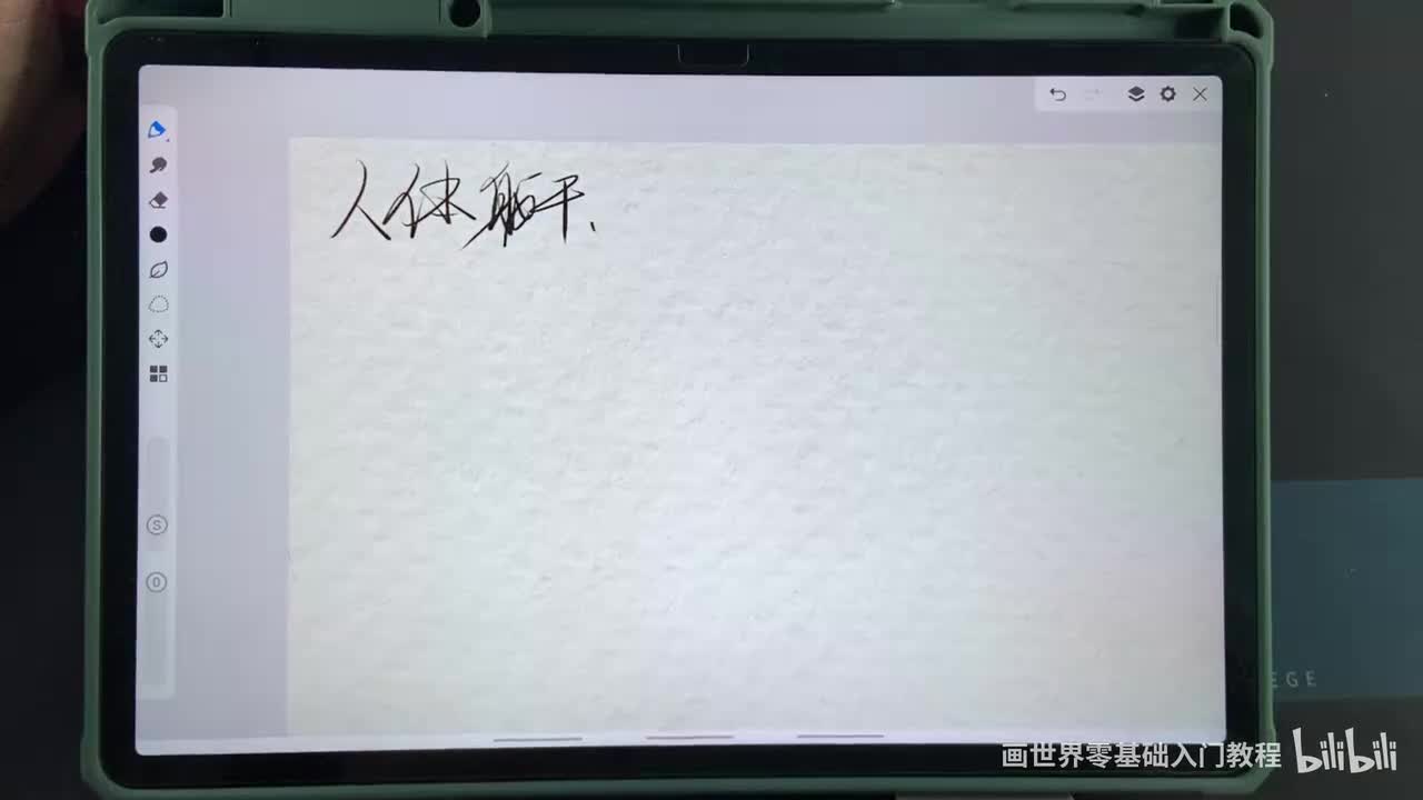 【人体篇】09人体躯干