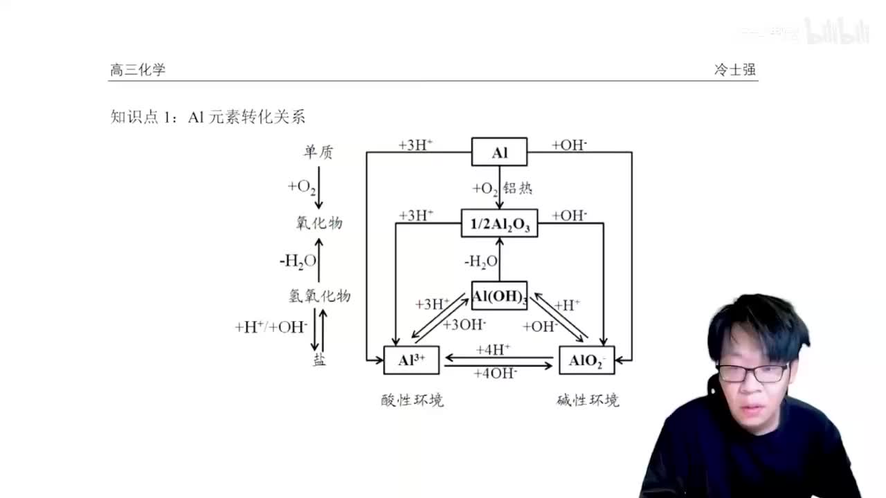 1.4.2.4 铝元素性质总述