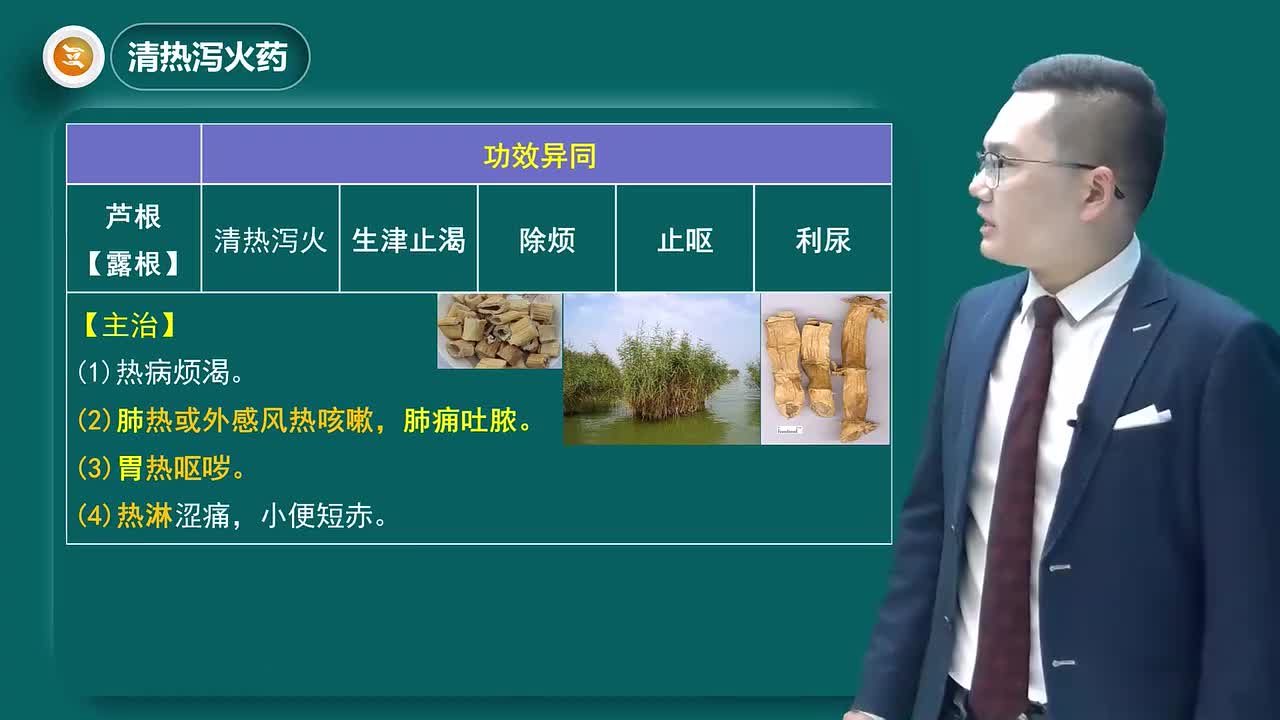 第二章02讲清热泻火药02