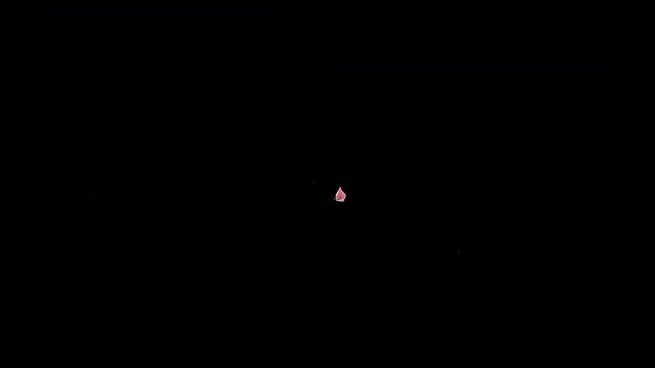 P14_4.2项目备份项目管理