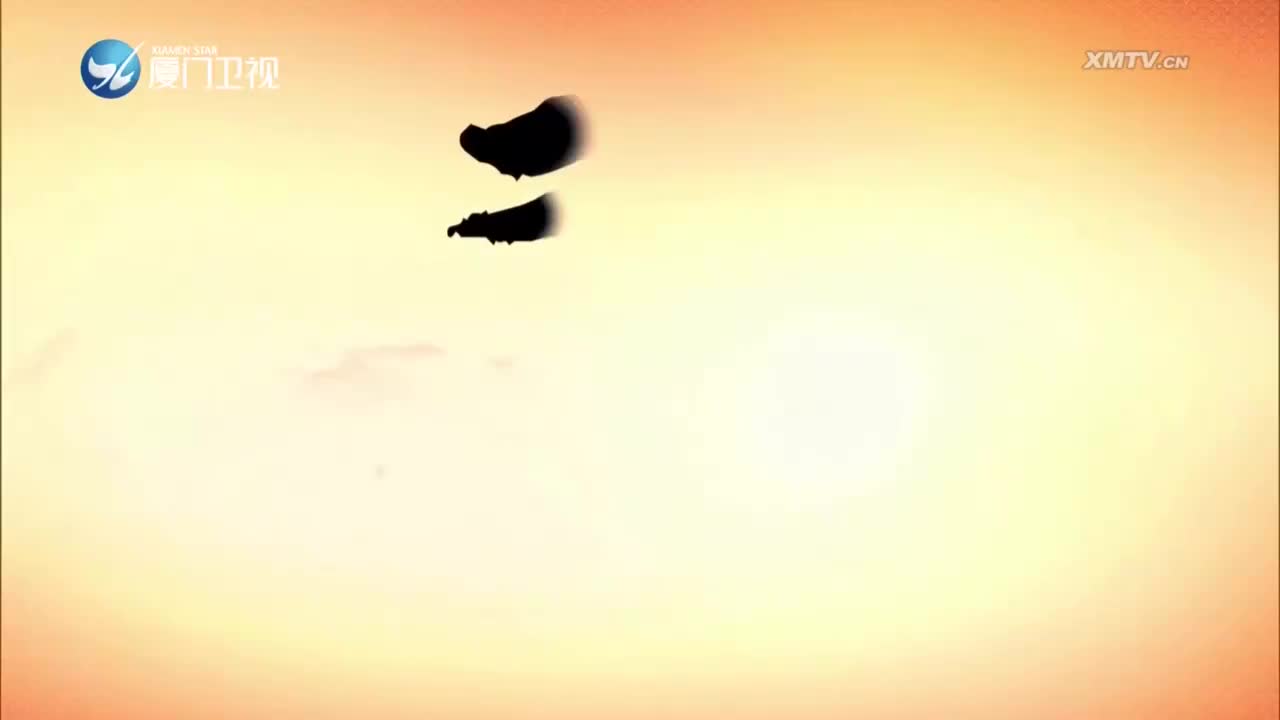 杀鸡记（4） 斗阵来看戏 2023.03.27 - 厦门卫视