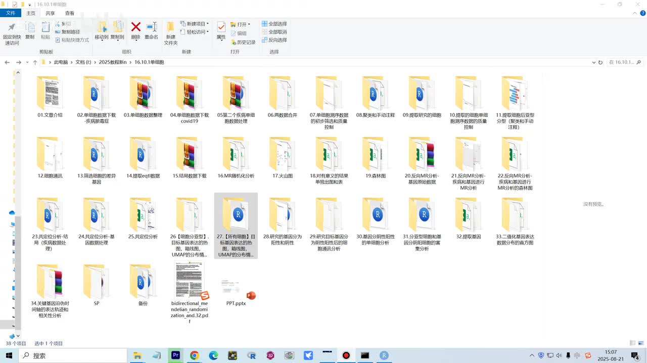 27.【所有细胞】目标基因表达的热图，箱线图，UMAP的分布情况和注释细胞的气泡图 -