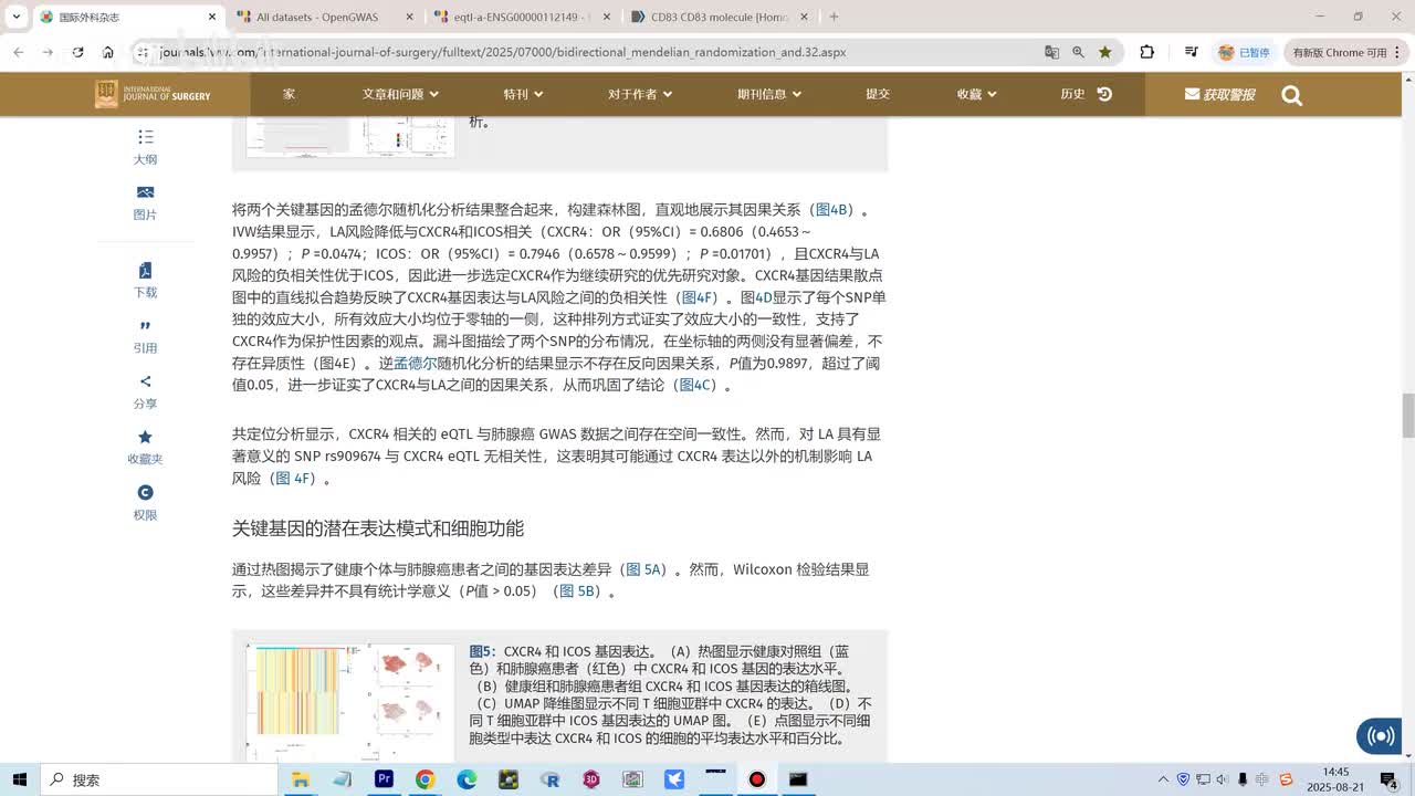 26【细胞分亚型】.目标基因表达的热图，箱线图，UMAP的分布情况和注释细胞的气泡图