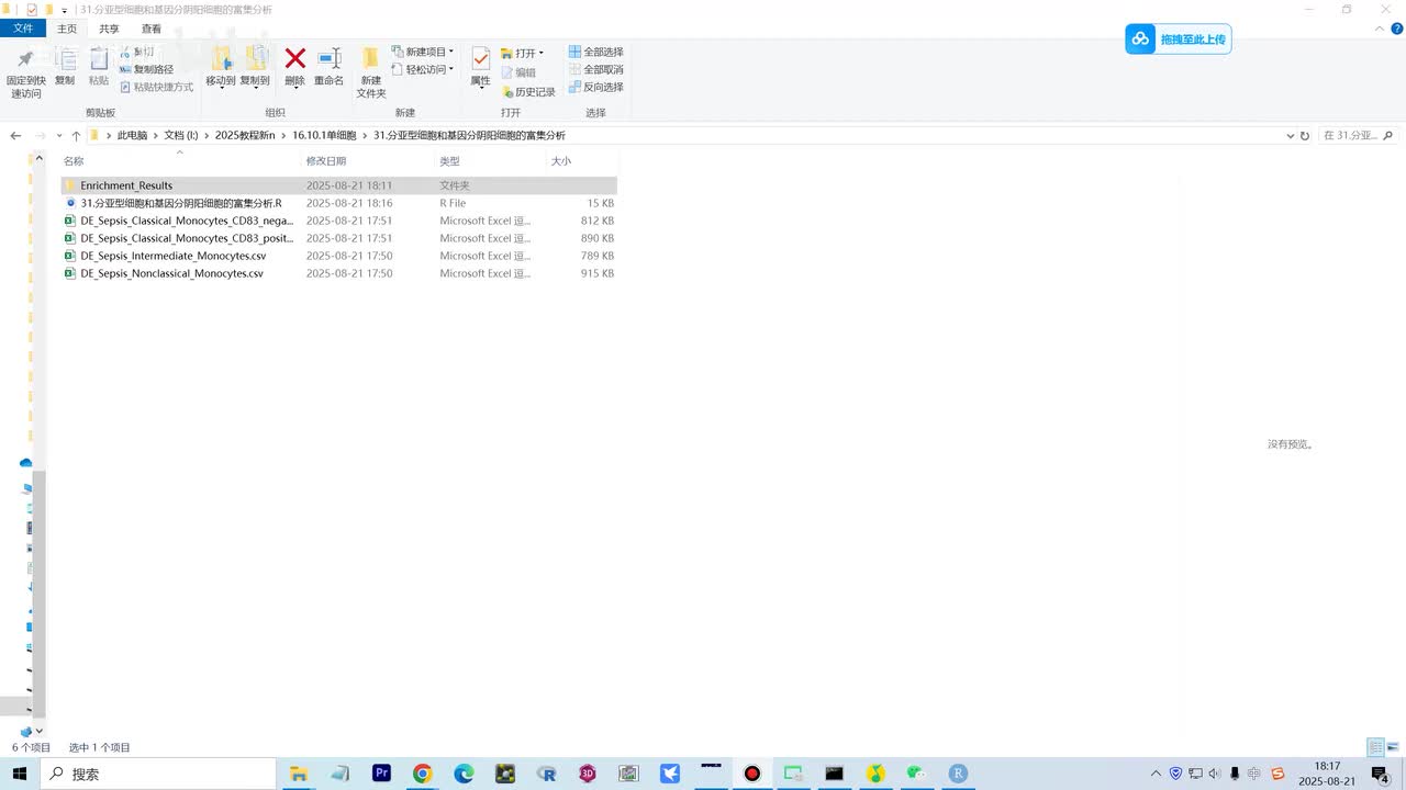 31.分亚型细胞和基因分阴阳细胞的富集分析