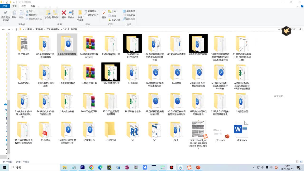 03.单细胞数据整理