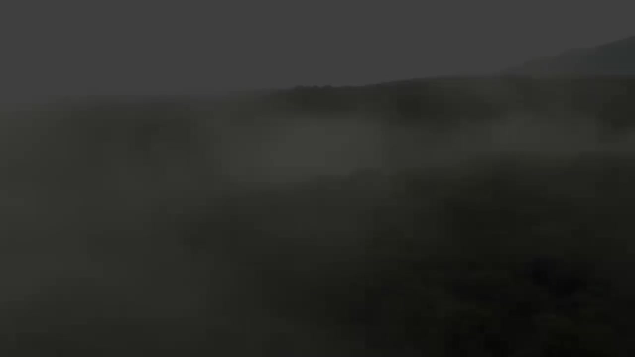 三年级（上） 06.神秘的自然之声：《大自然的声音》