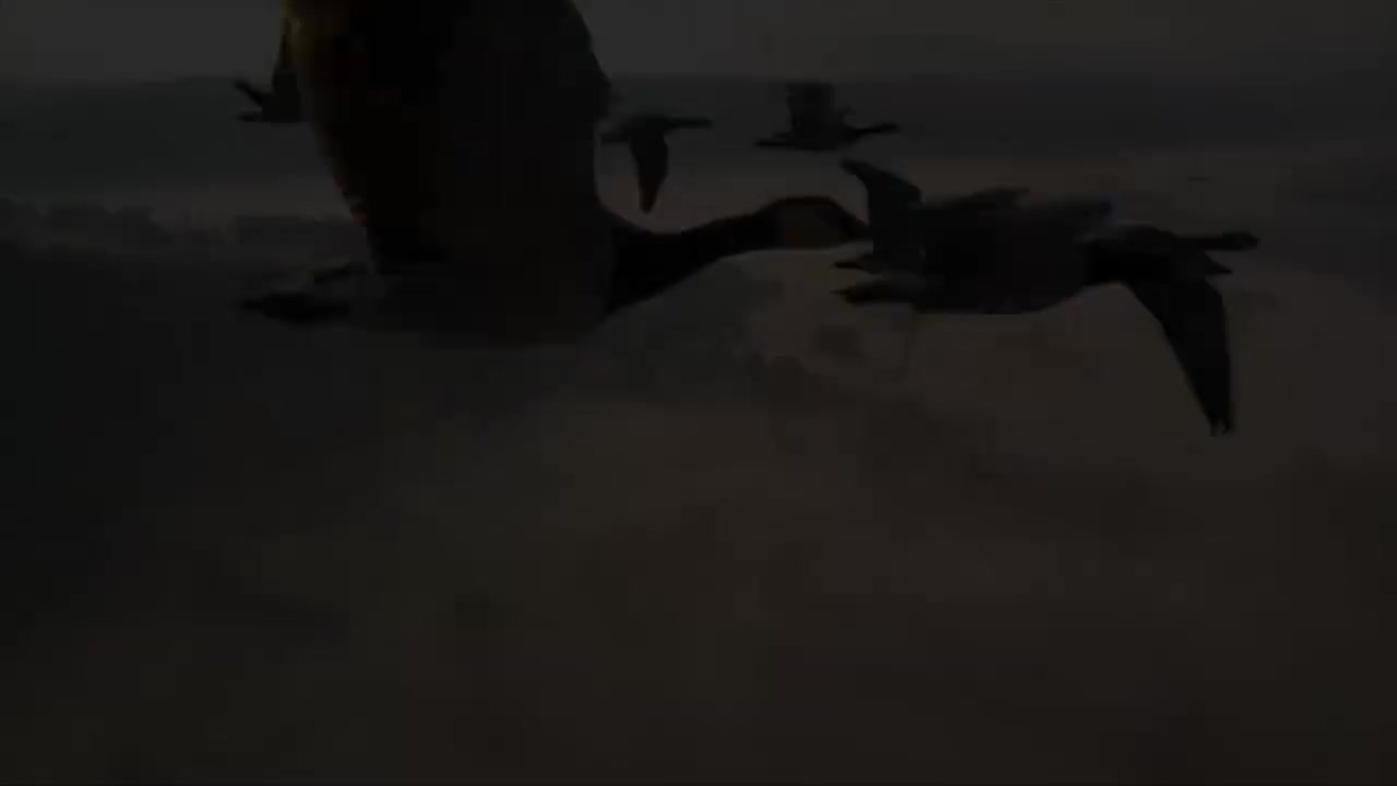 一年级(上) 07.大雁妈妈去哪里：《秋天》