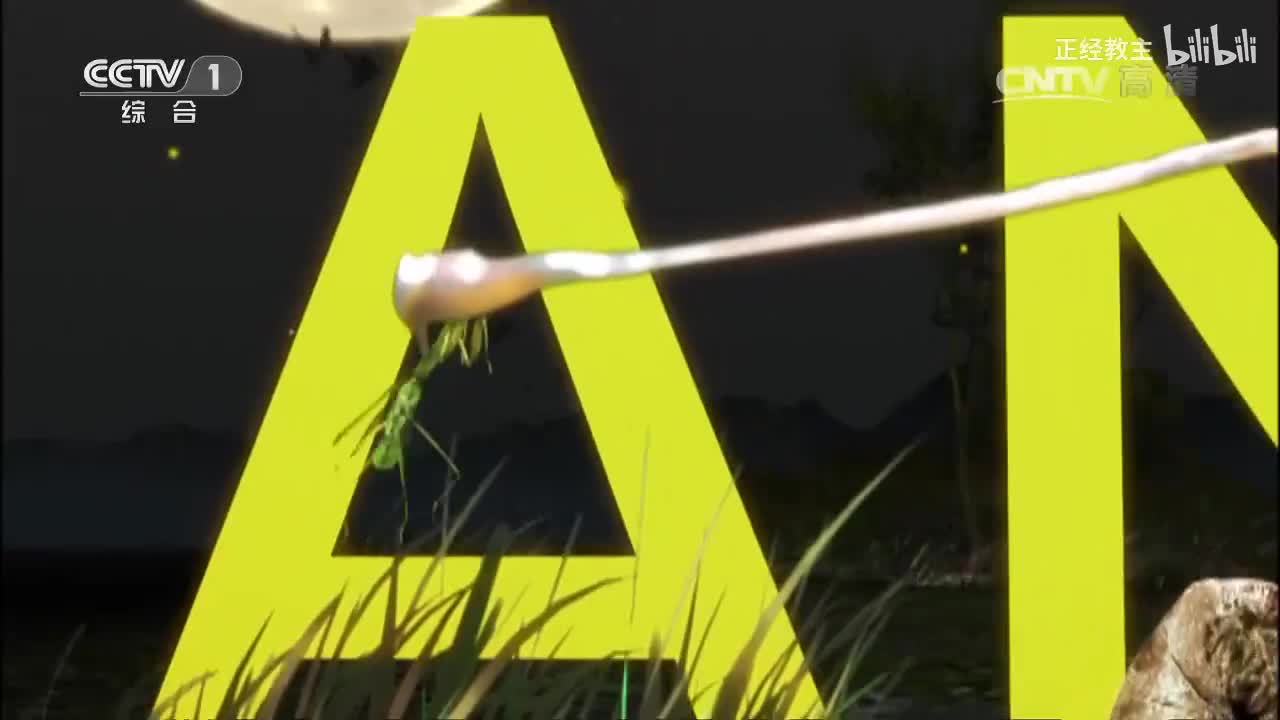 《动物世界》 20170408 狮兄狮弟手足情[超清版]