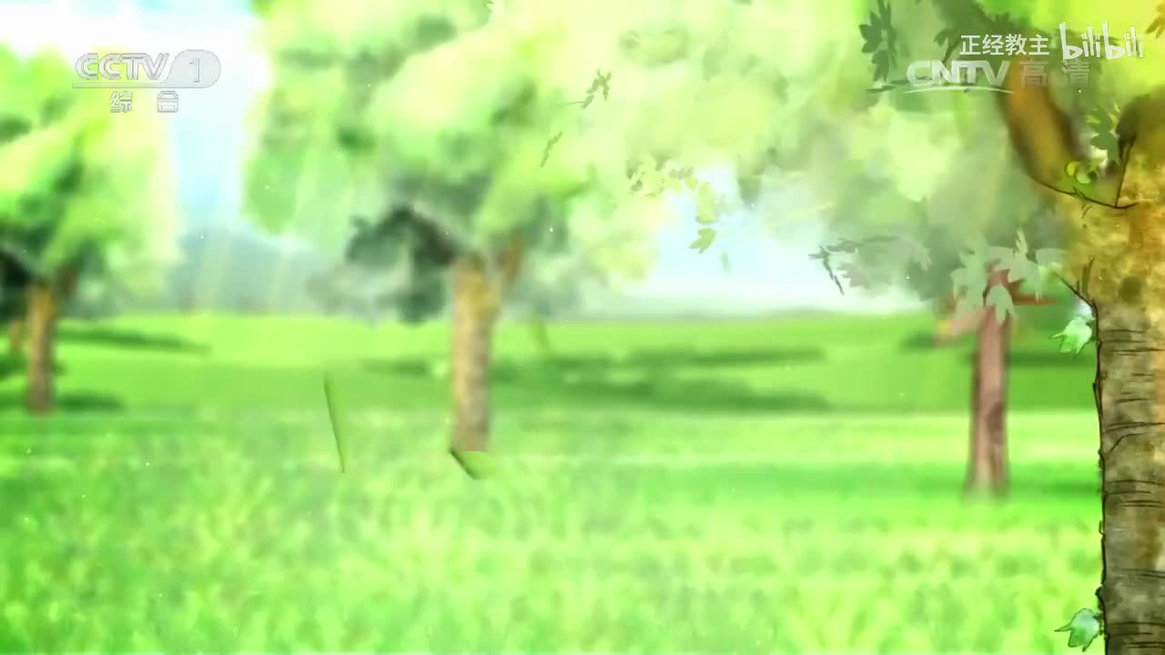 《动物世界》 20170416 豹子决战疣猪[超清版]