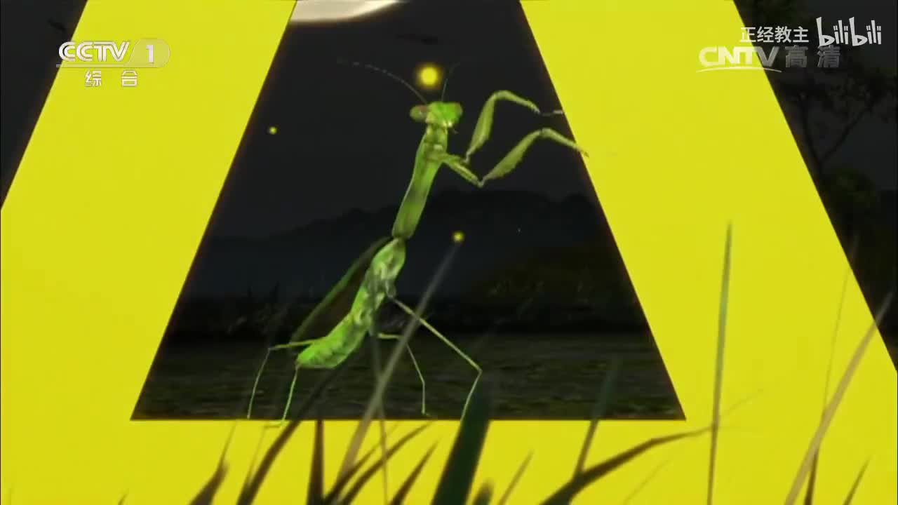 《动物世界》 20170421 黑斑羚逃生记[超清版]