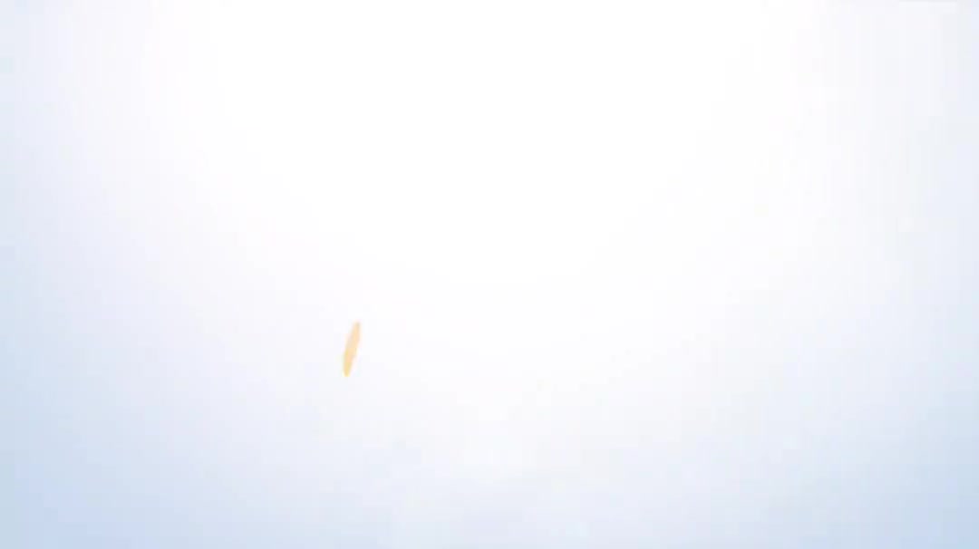 9.27设备管口元件及等级的创建