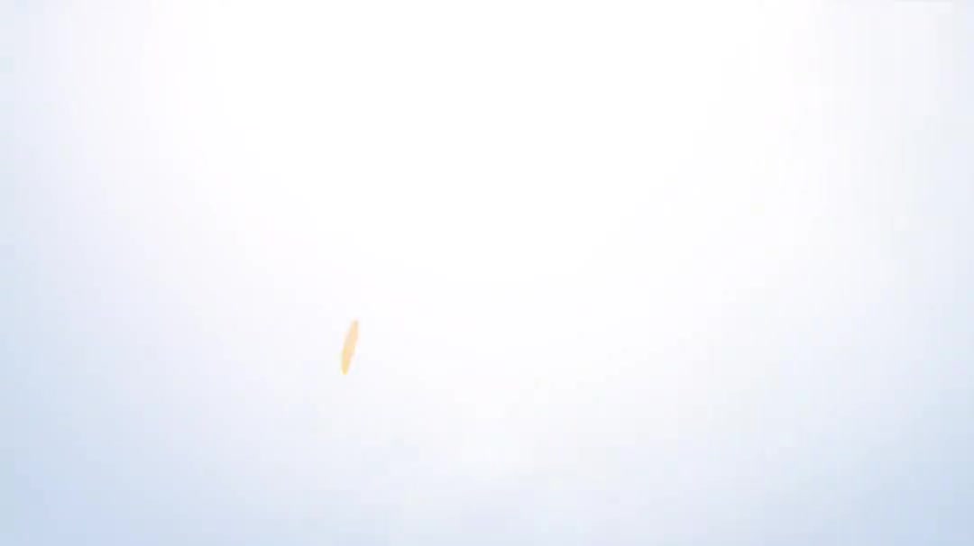 5.4DBListing以及RVM模型导出