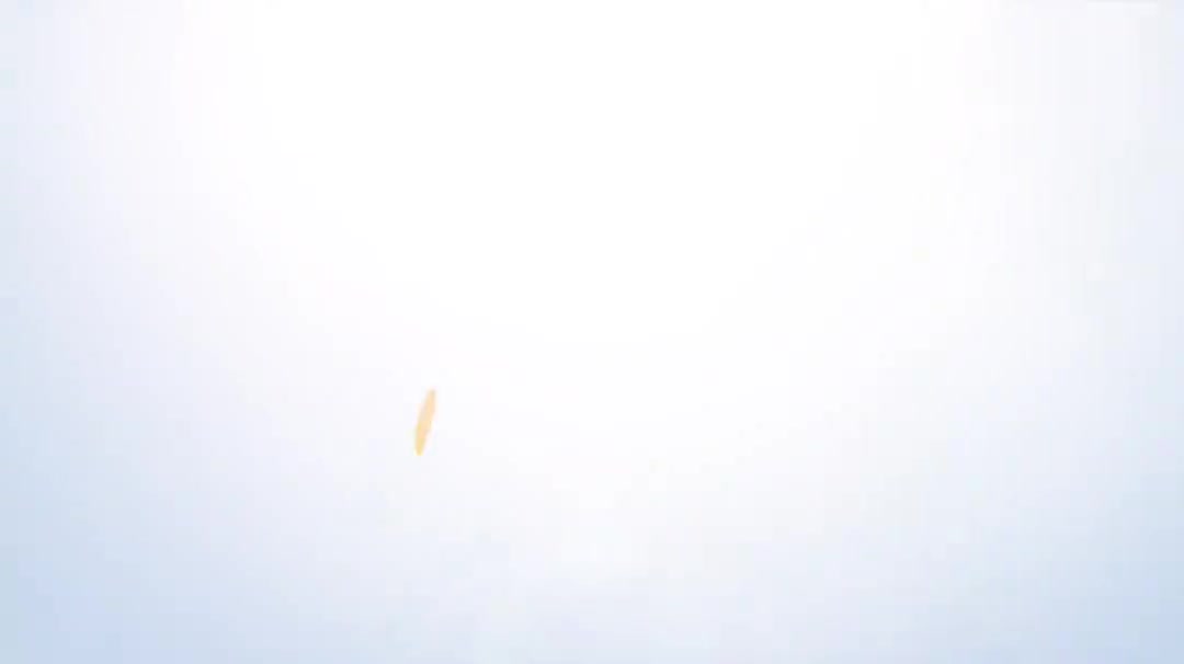 4.5 快速与自动布管