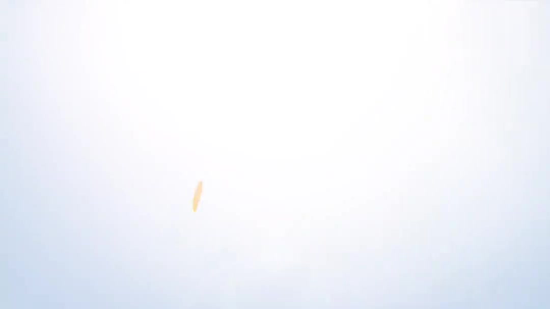 4.7 修改管道等级、公称直径、绝热和伴热等级