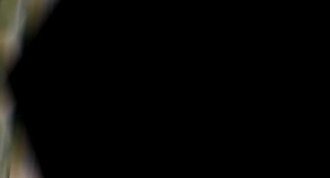 四分屏卡点效果