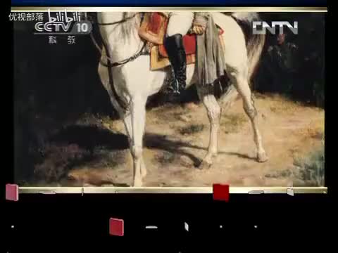 《百家讲坛》拿破仑（七）要能人不要完人