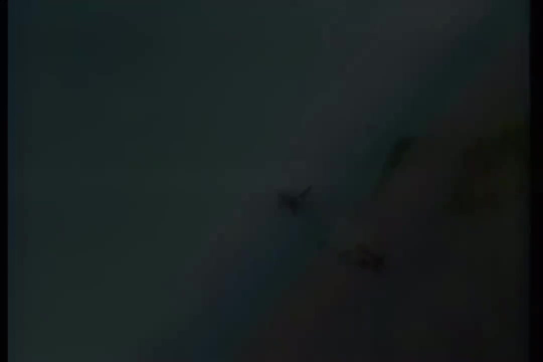 卓依婷-踏浪 金碟版