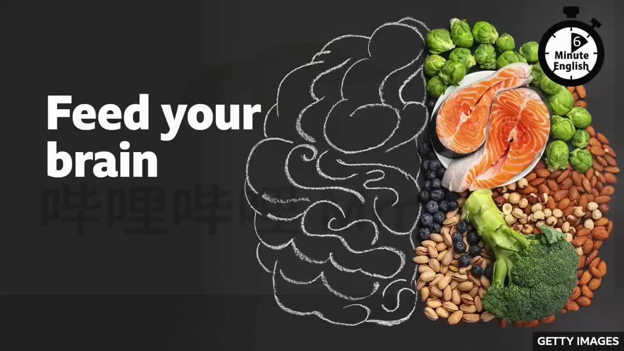 07.20240222-Feed your brain_喂养你的大脑