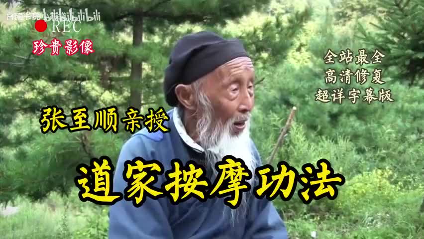 48-张至顺亲授道家按摩功法珍贵影像修道中医爱好者必看-480P 标清-AVC