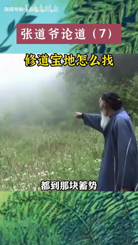 40-道爷眼里的修行宝地是什么样的-480P 标清-AVC